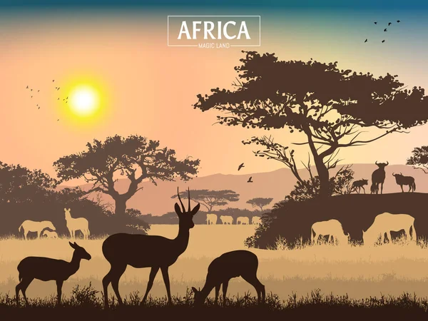 Paisagem Africana Grama Árvores Pássaros Animais Silhuetas Fundo Abstrato Natureza — Vetor de Stock