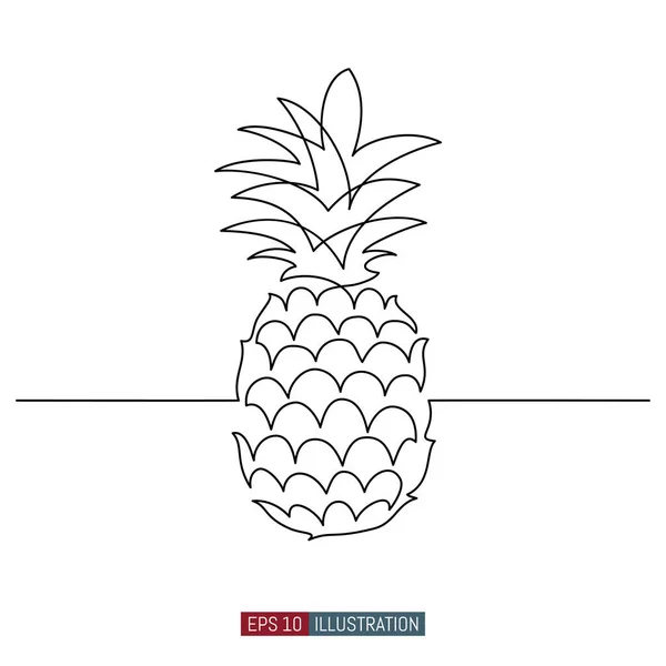 Continuous Line Drawing Pineapple Template Your Design Vector Illustration — Stock Vector