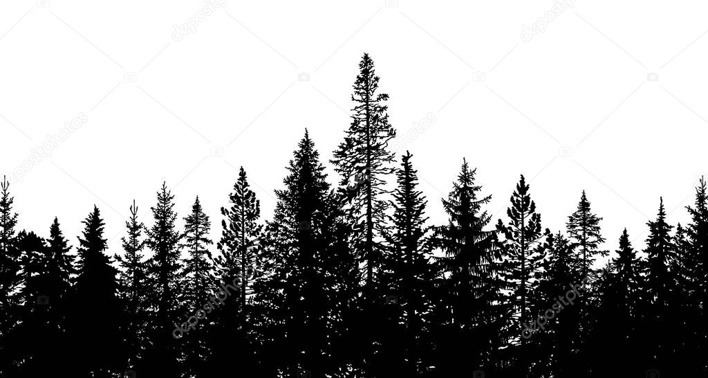 Abstract background. Forest wilderness landscape. Pine tree silhouettes. Template for your design works. Vector illustration.