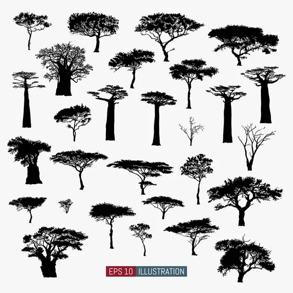 Afrikaanse Boom Geïsoleerde Silhouetten Set Baobab Acacia Andere Elementen Voor — Stockvector