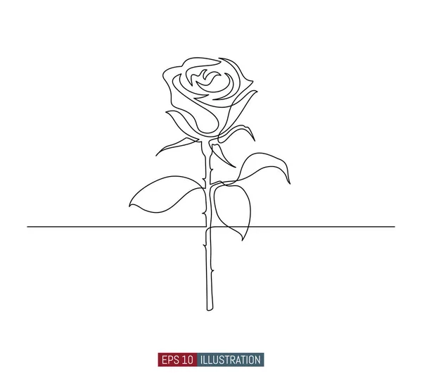 Dibujo Continuo Línea Flor Rosa Plantilla Para Sus Trabajos Diseño — Vector de stock