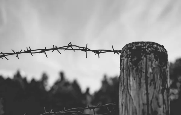 Wooden fence with barbed wire against the sky.