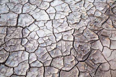 on a hot summer day a dried up lake has died out all living