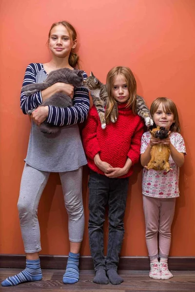 girls play with cats and guinea pigs on mother's day