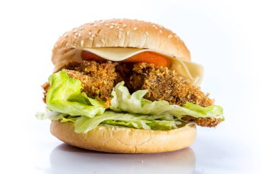 lezzetli burger peynir ve beyaz bir arka plan üzerinde sebze