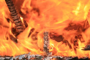yanmış odun makro fotoğraf ateşle yakma resim