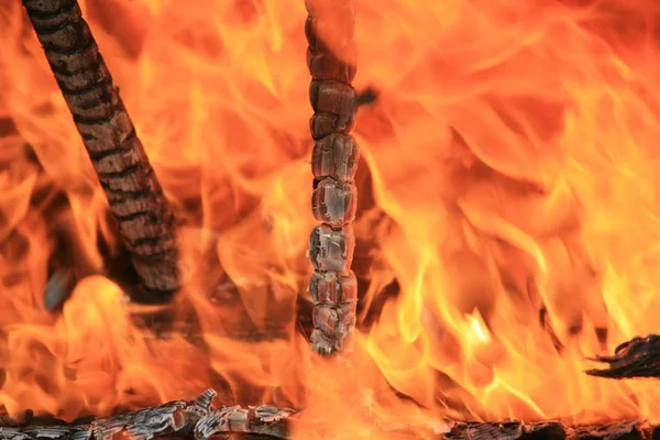 yanmış odun makro fotoğraf ateşle yakma resim