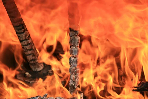 yanmış odun makro fotoğraf ateşle yakma resim