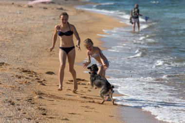 tatil, yaz günü plajda denizin bir kaç gençler sarsın ve ıslak kum bir köpek ile kaçak