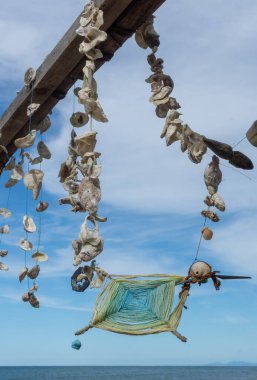 Sayulita Meksika Plajında Deniz Kabukları ve Mandala.