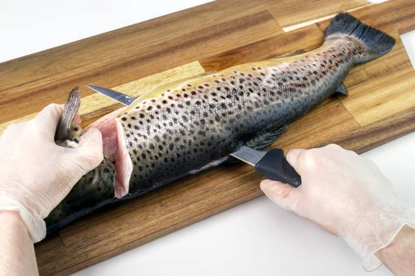 Filleting Färsk Öring Skära Filéer Med Fiskfilé Kniv — Stockfoto