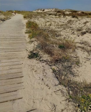 Sahile giden tahta köprü.