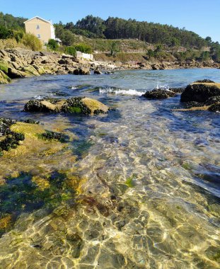Yazın kayalıklı sahil