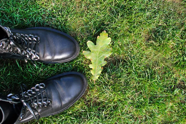 fashion. fashion shoes on green grass