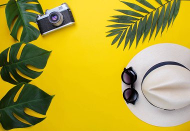 Son moda şapka, dürbün ve palmiye yaprakları sarı bir arka plan üzerinde