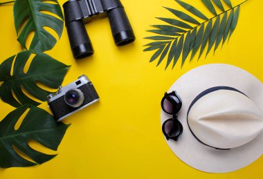 Son moda şapka, dürbün ve palmiye yaprakları sarı bir arka plan üzerinde