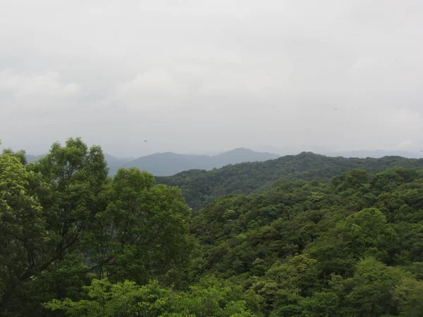 Japonya dağı, Tokushima şehri.