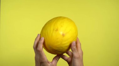 Beyaz bir erkek eli sarı arka planda sarı bir kavun gösteriyor. Eller meyveyi döndürür.