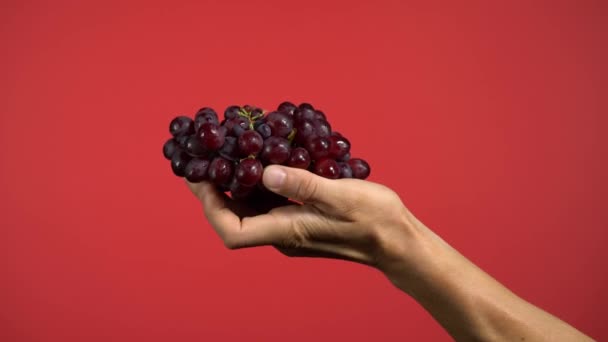 Dwie Męskie Ręce Pokazują Kilka Czerwonych Winogron Wyciągają Winogrono Pokazują — Wideo stockowe