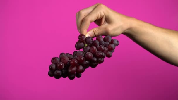 Mano Masculina Que Muestra Racimo Uvas Rojas Sobre Fondo Color — Vídeo de stock