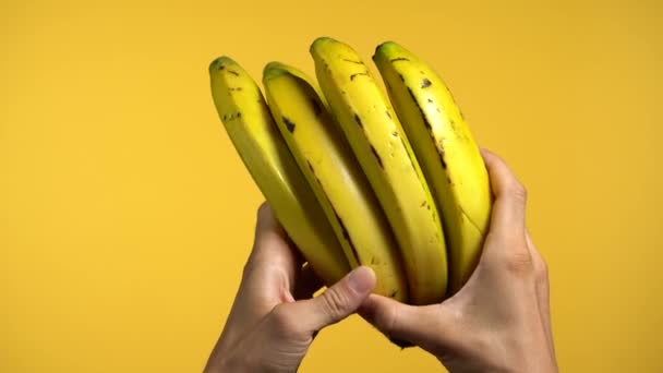 Чоловічі Руки Показують Купу Великих Бананів Витягуючи Один Бананів Показуючи — стокове відео