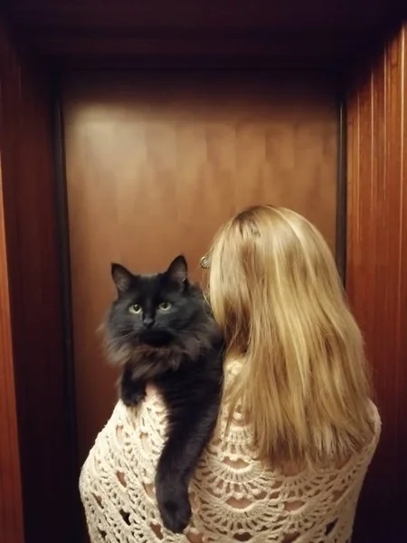 長いですブロンド髪とともに黒猫肩にニットショールで彼女の後ろにドアに立って — ストック写真