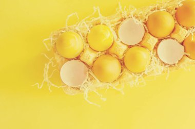 Sarı yumurta bir yumurta kapsayıcı sarı bir arka plan, üstten görünüm