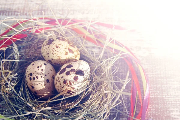 Three Guail Eggs Decorative Nest Wooden Table Easter Concept — Stock Photo, Image