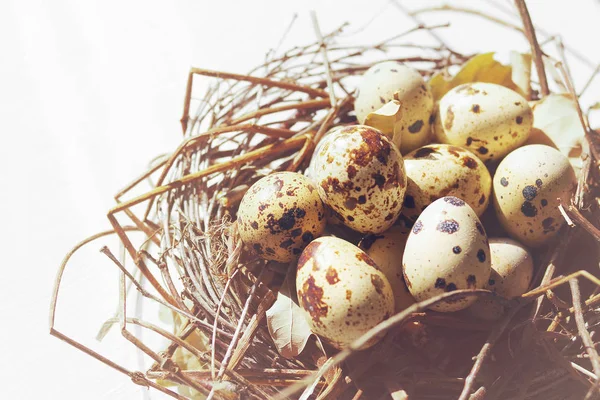 在木桌上的装饰巢里放鸡蛋 复活节概念 — 图库照片