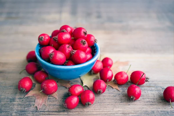 Teinture Aubépine Dans Petit Bol Bleu Fruits Aubépine Frais Sur — Photo