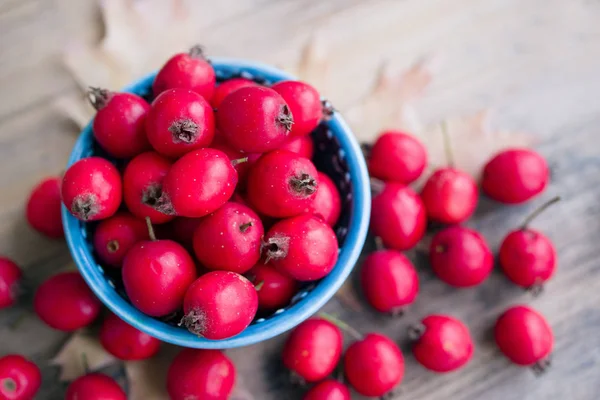 Tintura Espino Tazón Azul Pequeño Fruta Fresca Espino Superficie Madera — Foto de Stock