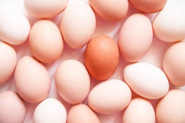 Kahverengi ve beyaz yumurta, yumuşak odak, yakın çekim