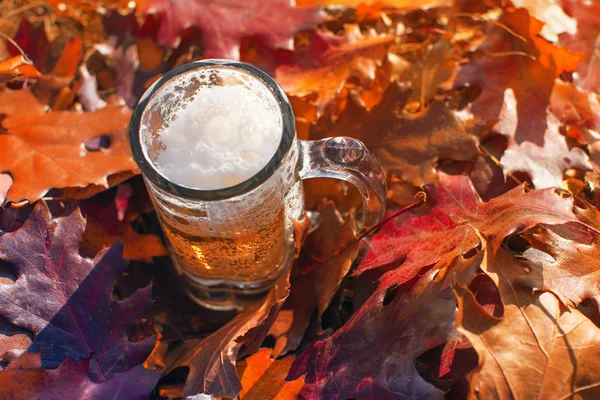 Parlak Kırmızı Sonbahar Yaprakları Ile Çevrili Bira Bardağı — Stok fotoğraf