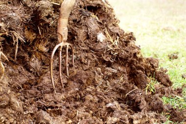 Gübre içinde tırmık. Tarım inşaat üstünde bir sebze bahçesi
