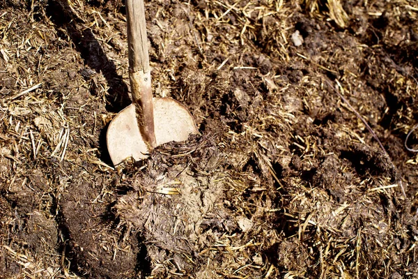 Pala Montón Estiércol Preparación Tierra Para Los Cultivos Fertilizantes Para —  Fotos de Stock