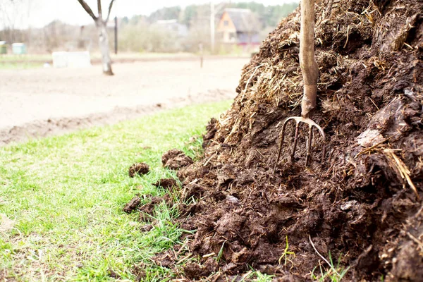 Pitchfork Mest Agrarische Werken Een Moestuin — Stockfoto