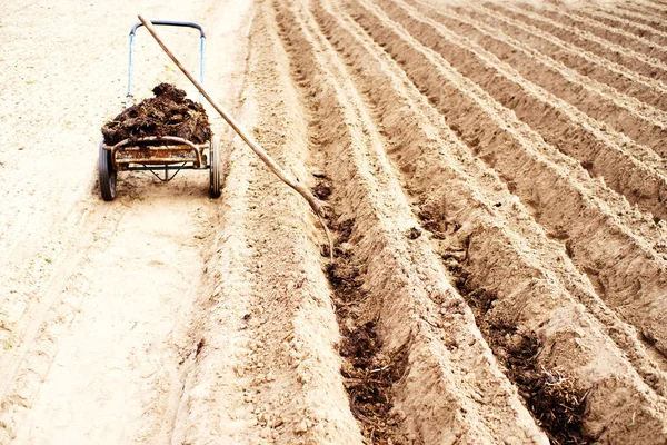 Ploegen Veld Behandeling Bemesting Van Grond Bodem Landbouw — Stockfoto