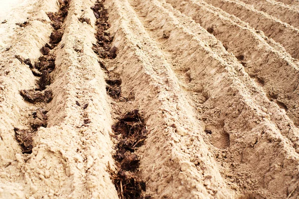 Champ Labouré Traitement Fertilisation Des Terres Des Sols Agriculture — Photo