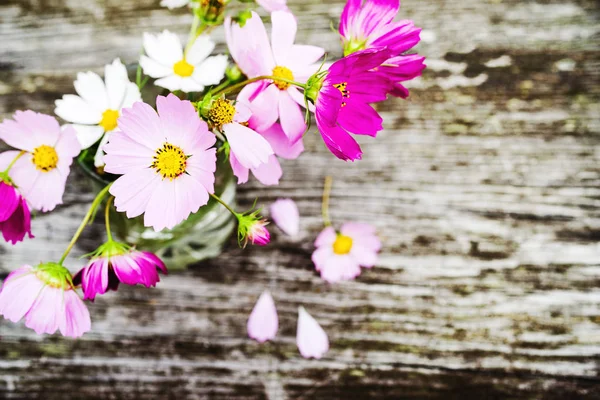 Rosa Och Vita Vilda Blommor Kosmos Gamla Trä Bakgrund Tonas — Stockfoto