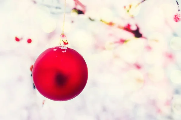 Christmas Background Red Christmas Ball Tree Winter Snow Covered Garden — Stock Photo, Image