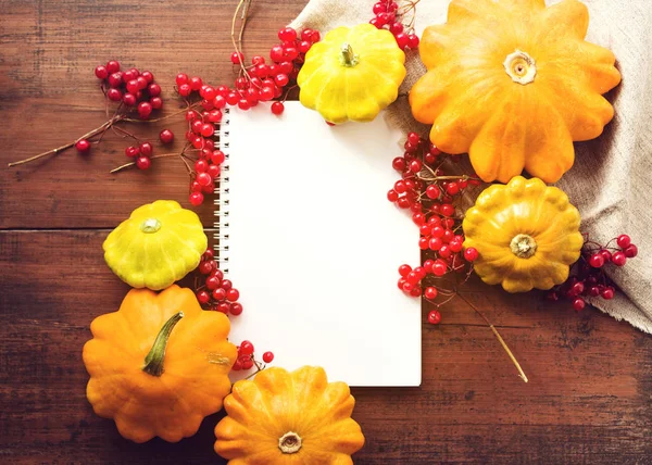 Bright Autumn Background Flat White Notebook Your Text Pumpkins Bunches — Stock Photo, Image