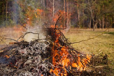 Yanan şenlik ateşi ve kuru dallar ve çimenlerin gri külleri. Bahar mevsimi bahçe işleri.