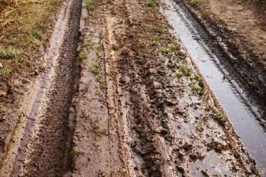 Baharda arazi araçları, off-road, su birikintileri ve kir için yol