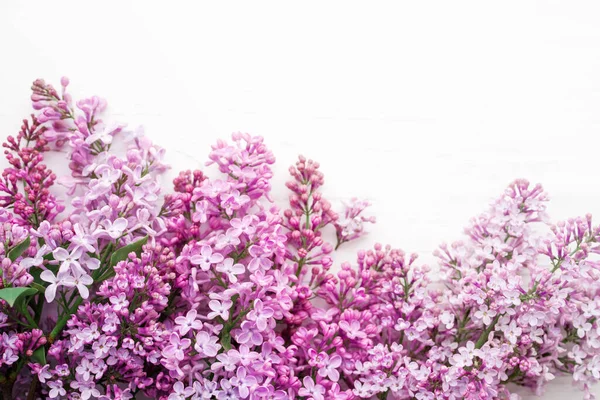 Lilac Květiny Detailní Bílém Pozadí Měkké Ostření Květinové Pozadí — Stock fotografie