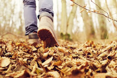 Legs of a girl in brown leather shoes go up the hill through autumn foliage, close-up, rear view, soft focus. Walk in the autumn forest clipart