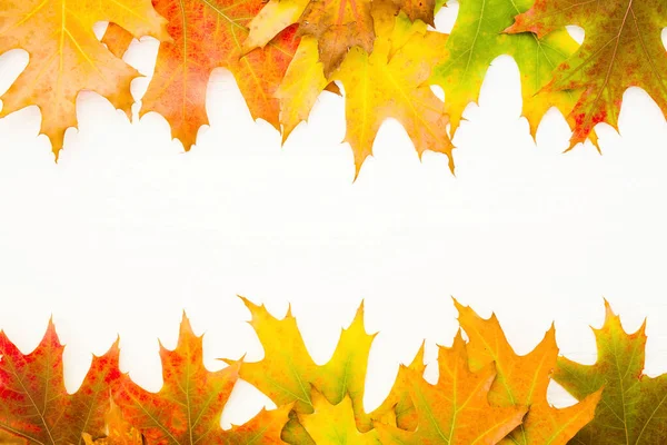 Jesienna Ramka Tła Jasnym Jesiennym Dębem Liści Białym Tle Drewna — Zdjęcie stockowe