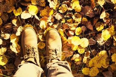 Sonbahar sarı yeşilliğinde kahverengi deri ayakkabılı bir kızın bacakları, yakın plan, üst manzara. Güneşli bir sonbahar gününde sonbahar ormanında yürümek