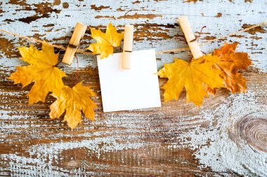 Kopya alanı olan sonbahar vintage arkaplanı. Sarı akçaağaç yaprakları ve metnin için boş bir beyaz kart. Eski mavi ahşap bir tahtanın arka planına karşı bir ipe asılmış. Kapat..