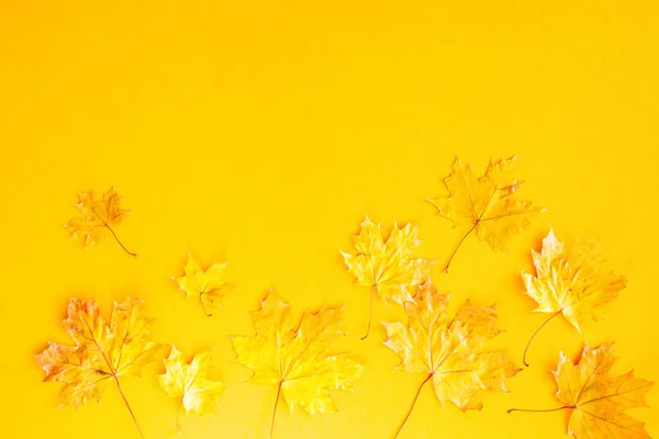 Podzimní Jasné Pozadí Žluté Podzimní Javorové Listy Žlutém Pozadí Horní — Stock fotografie