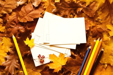 Metnin için temiz beyaz kartlarla renkli sonbahar arkaplanı ve parlak sonbahar yaprakları üzerinde renkli kalemler, üst görünüm, düz yatış.